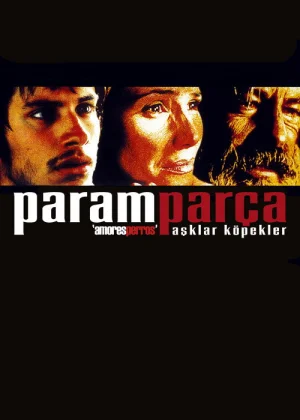 Paramparça Aşklar Köpekler film afişi
