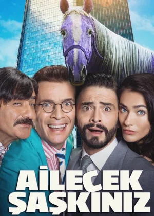 Ailecek Şaşkınız film afişi